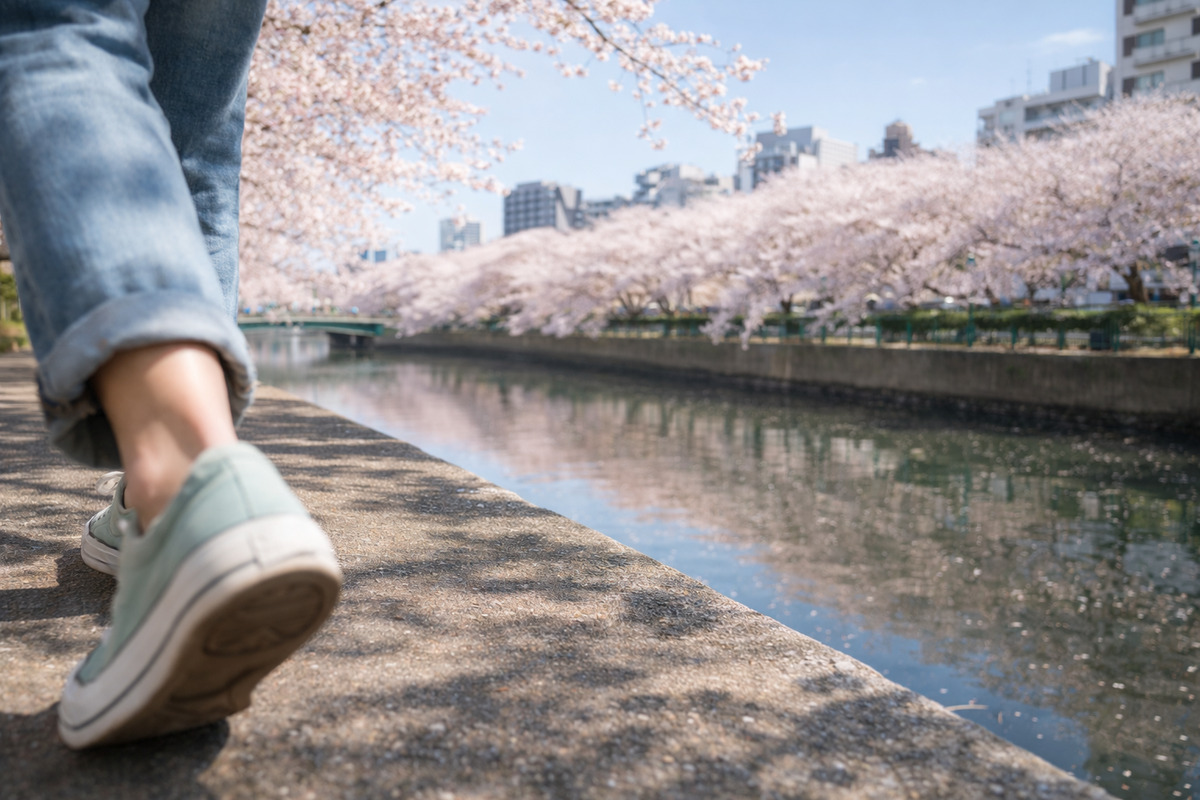横浜の大岡川沿いで桜並木を眺めながら、スニーカーで軽やかに歩く春の散歩風景